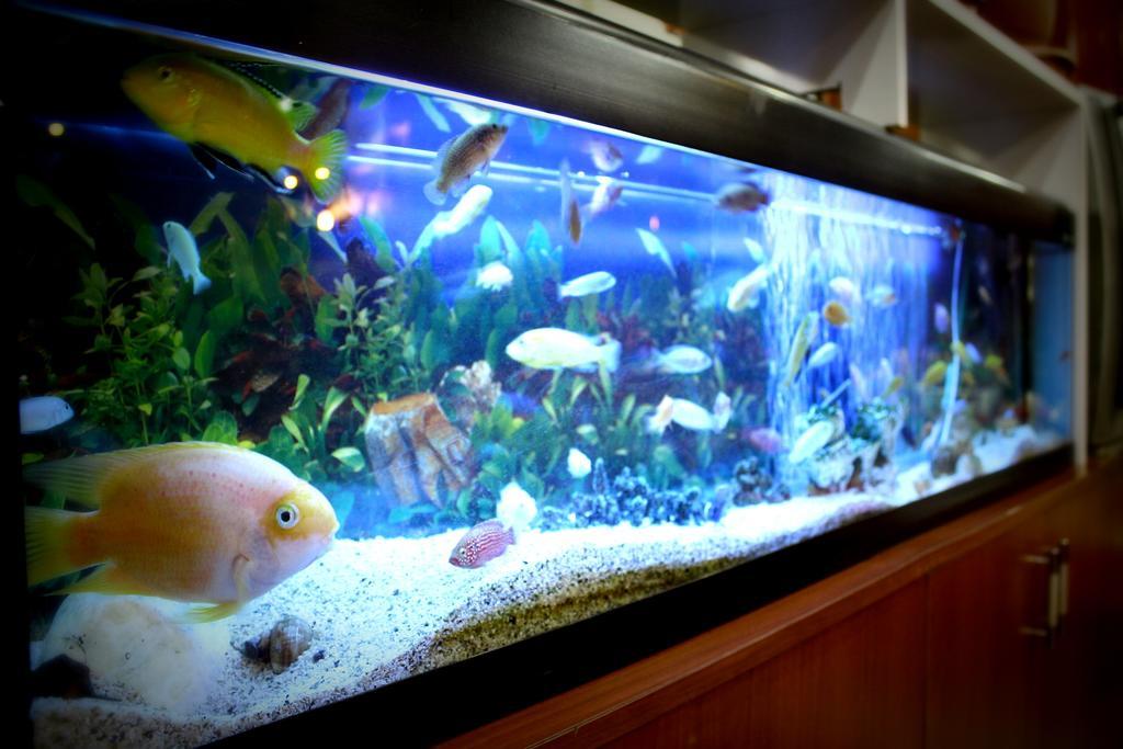 Simge Hotel อิสตันบูล ภายนอก รูปภาพ